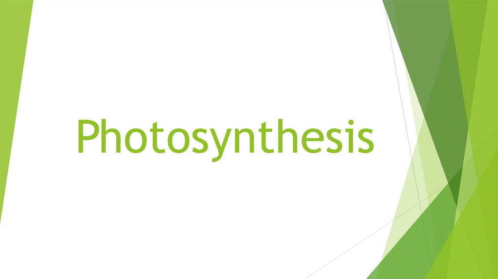 Photosynthesis Online Presentation