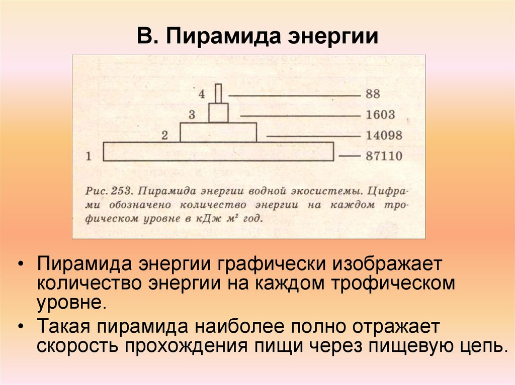 Пирамида энергии