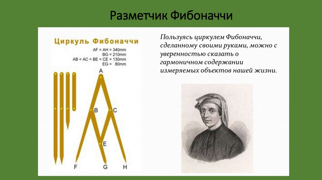 Загадка фибоначчи. Разметчик Фибоначчи. Ряд Фибоначчи в костюме. Линия Фибоначчи для презентации. Памятник Фибоначчи.