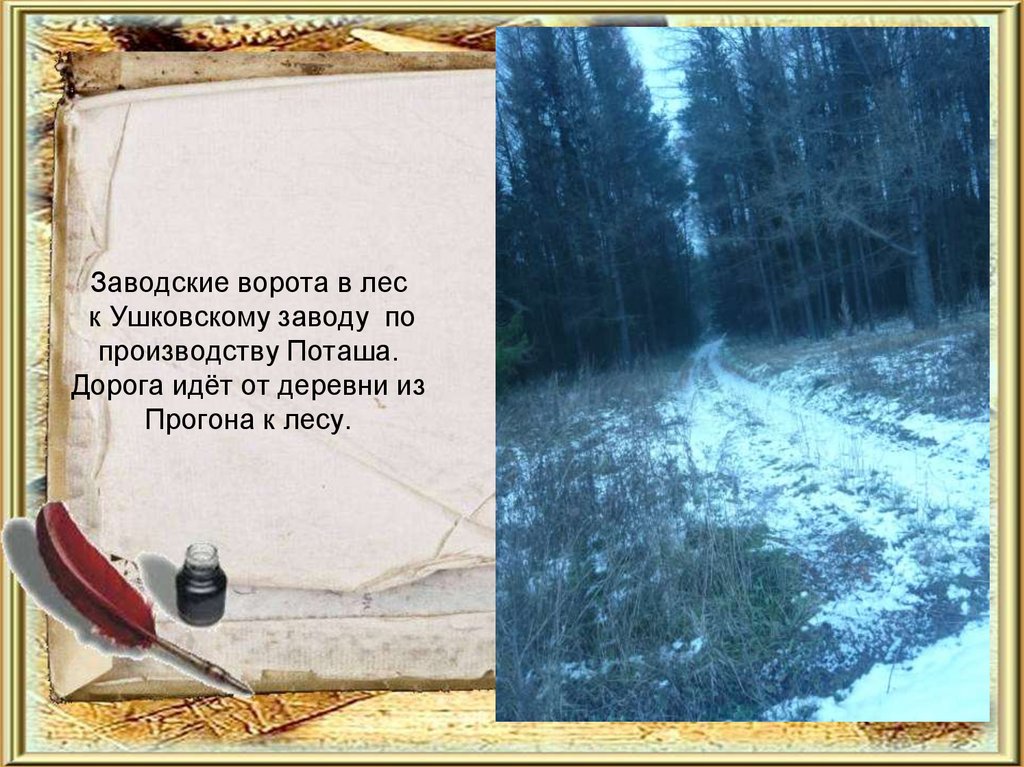 Заводские ворота в лес к Ушковскому заводу по производству Поташа. Дорога идёт от деревни из Прогона к лесу.