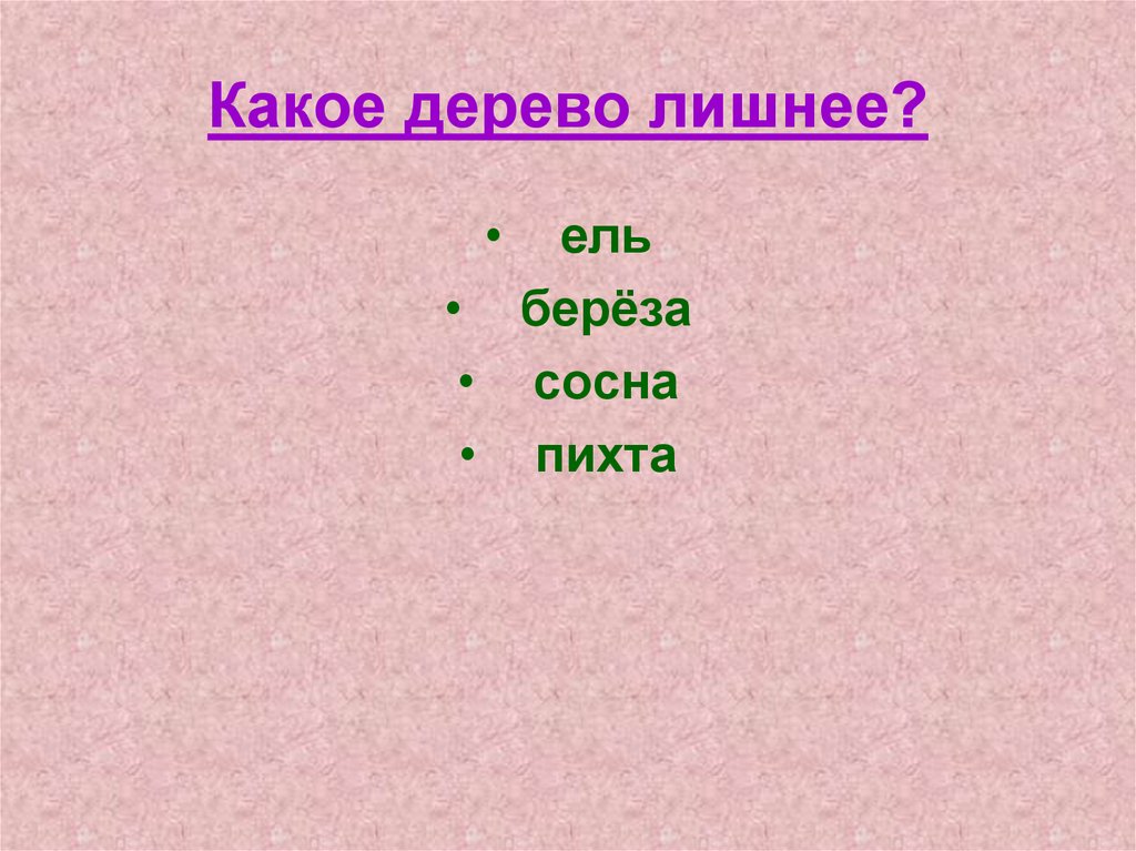 Какое дерево лишнее?