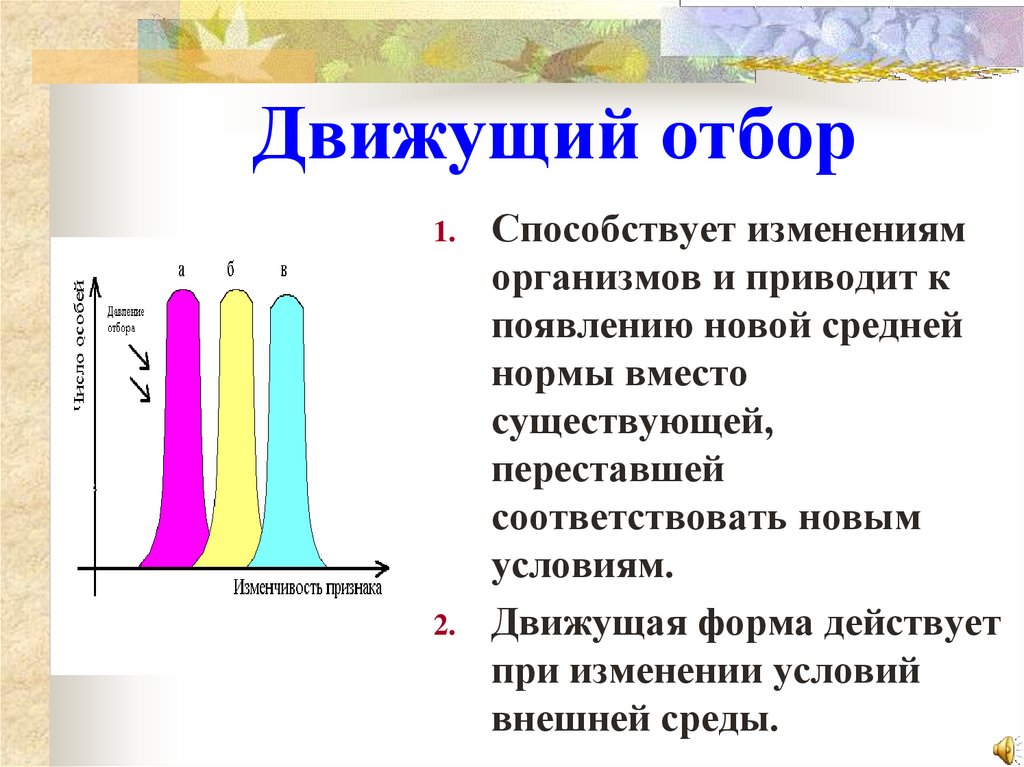 Движущий отбор картинки