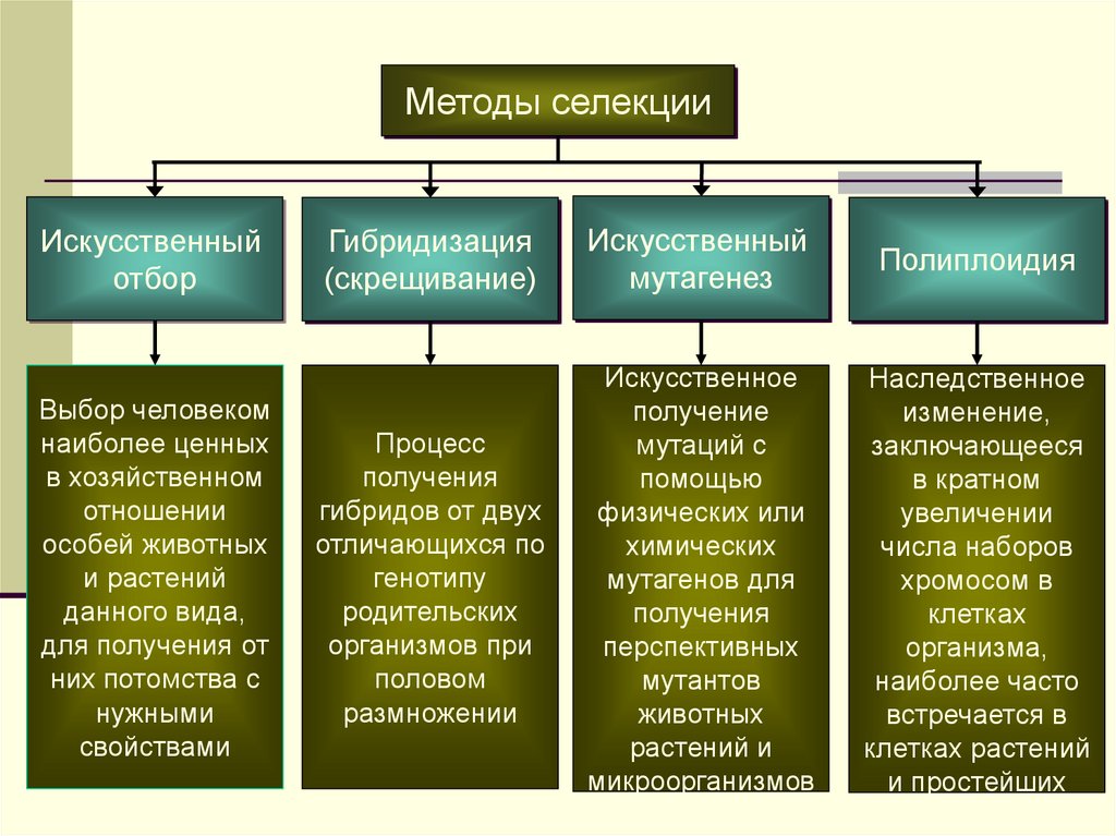 Основные методы селекции кратко