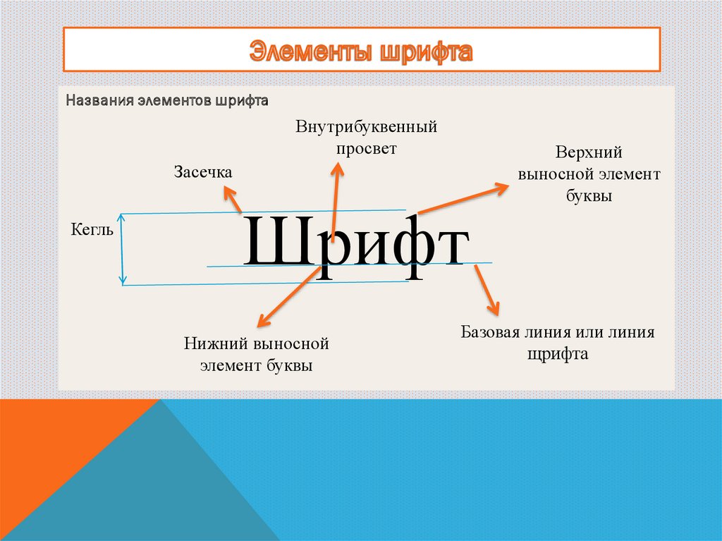 Элементы шрифта. Элементы шрифта названия. Графические элементы шрифта. Основные элементы шрифта.