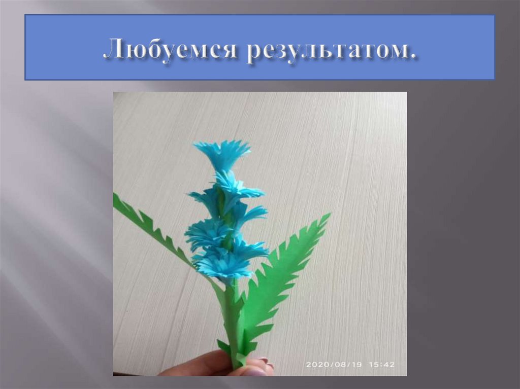 Любуемся результатом.