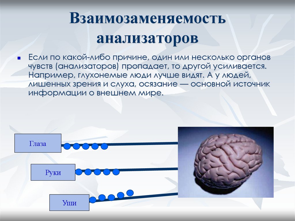 Анализаторы 8 класс презентация