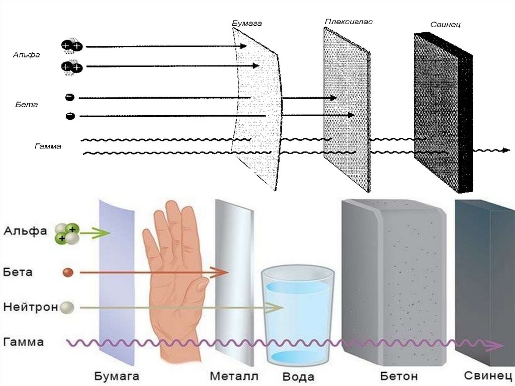 Обработка ионизирующим излучением. Виды экранов для защиты от ионизирующего излучения.