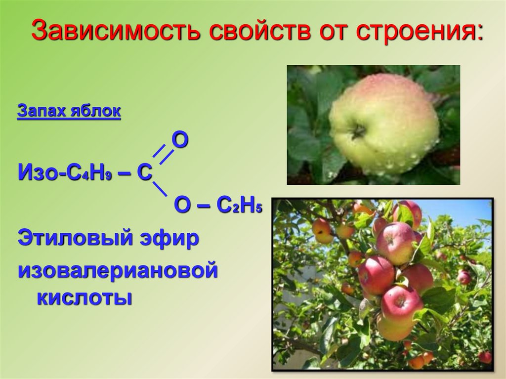 Запах яблок какой. Этиловый эфир изовалериановой кислоты. Изоамиловый эфир изовалериановой кислоты. Изопентиловый эфир изовалериановой кислоты формула. Сложный эфир яблока.