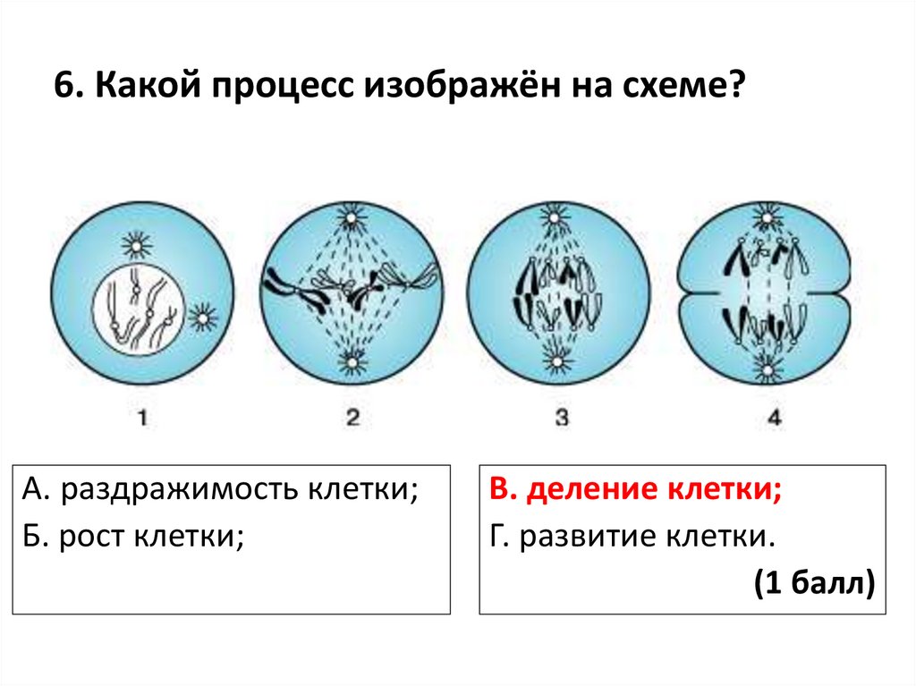 Какой процесс проходит