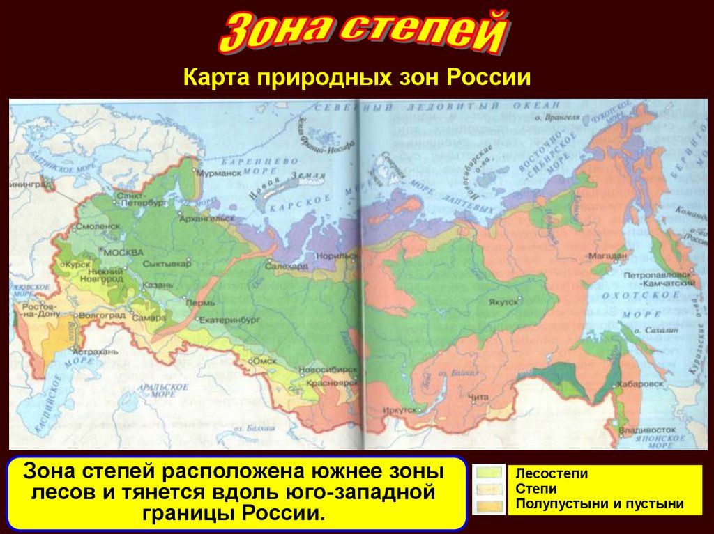 Географическое положение лесостепей и степей в россии