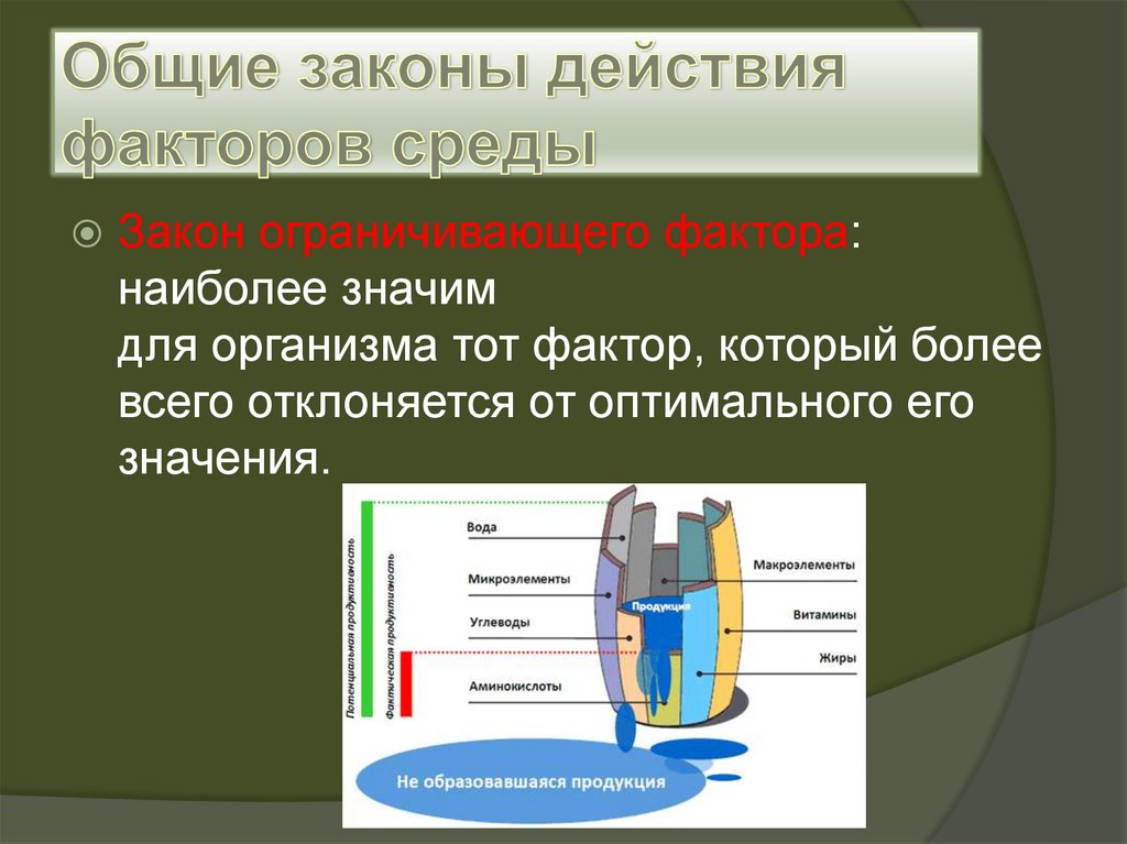 Презентация законы действия факторов среды на организмы презентация