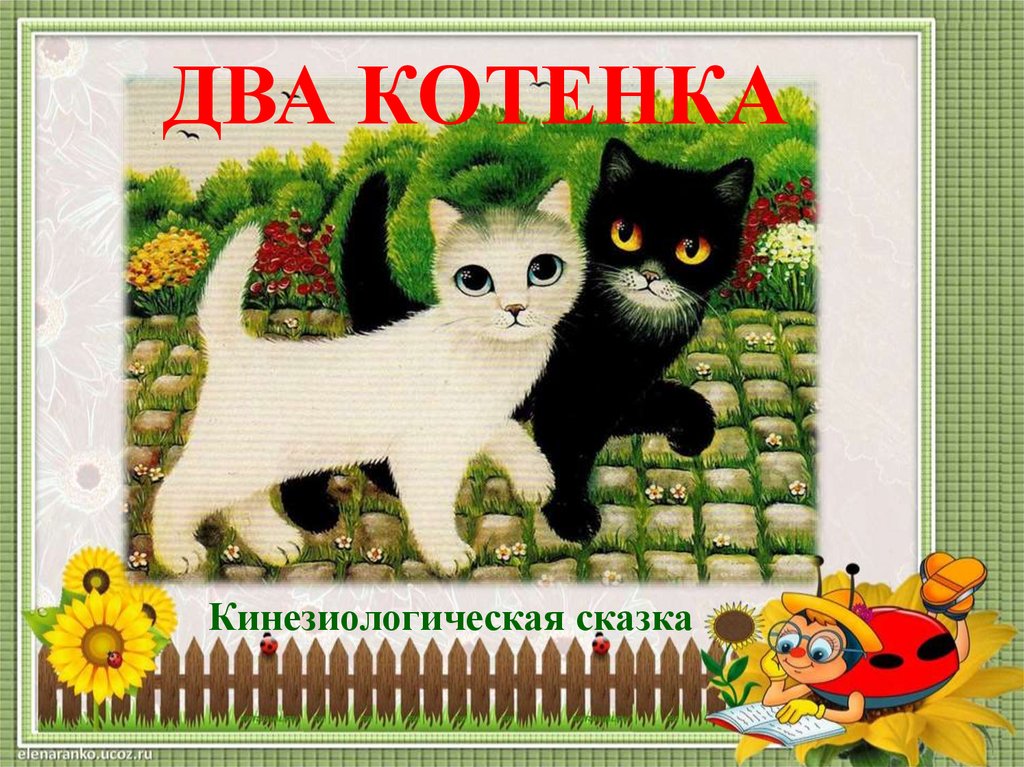 2 кота 1. Кинезиологическая сказка два котенка. Кинезиологическая сказка два котенка в картинках. Кинезиологические сказки 2 котенка. Кинезиологическая сказка.