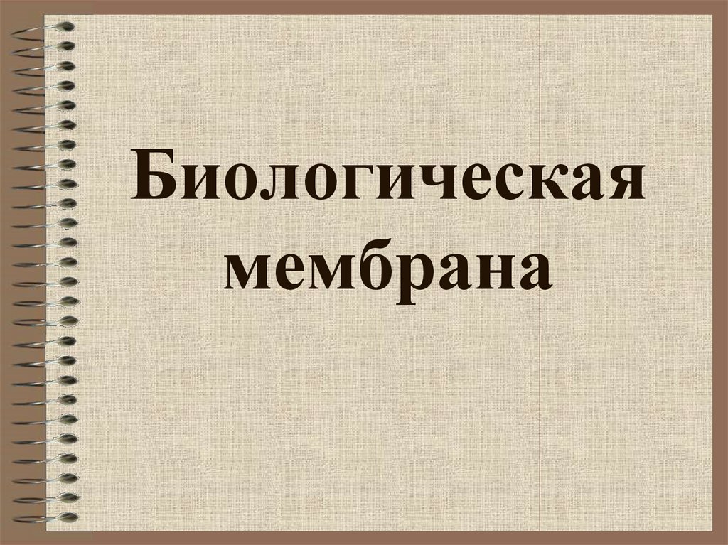 Биологическая мембрана - презентация онлайн