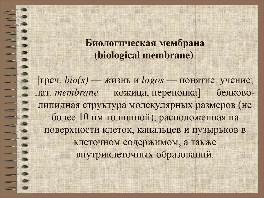 фразеология как раздел лингвистики. понятие логоса в философии. гераклит эфесский логос. этимология греческих слов. гераклит эфесский логос.