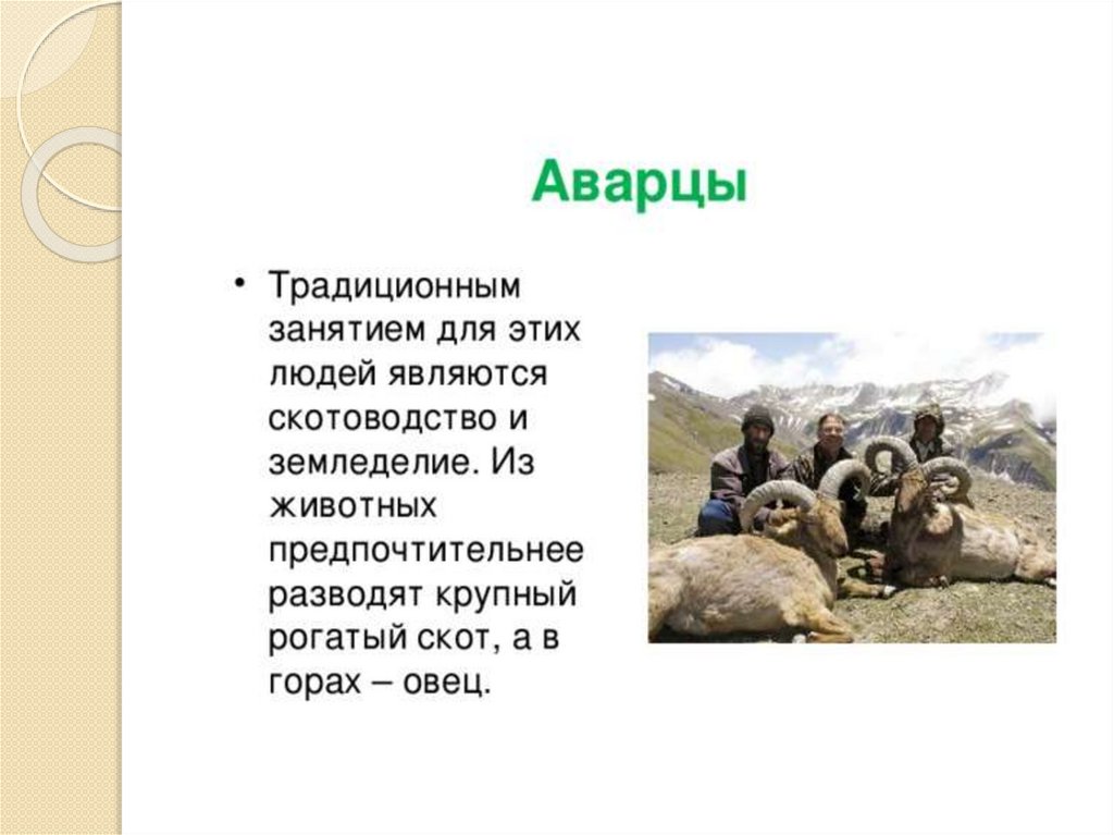 Название какого народа дагестана означает воинственный. Аварцы презентация. Аварцы доклад. Аварцы традиции и обычаи. Традиции аварцев презентация.