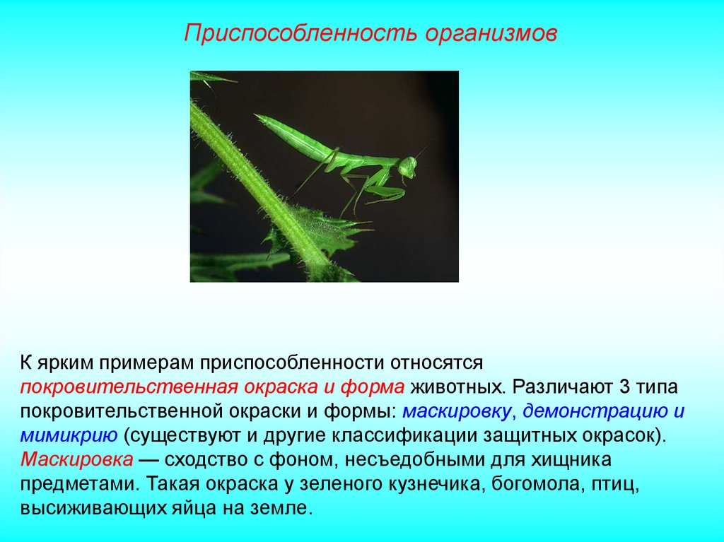 Ландшафт приспособленности. Приспособленность к размножению в вод. Приспособленность ящерицы. Скорпион черты приспособленности.