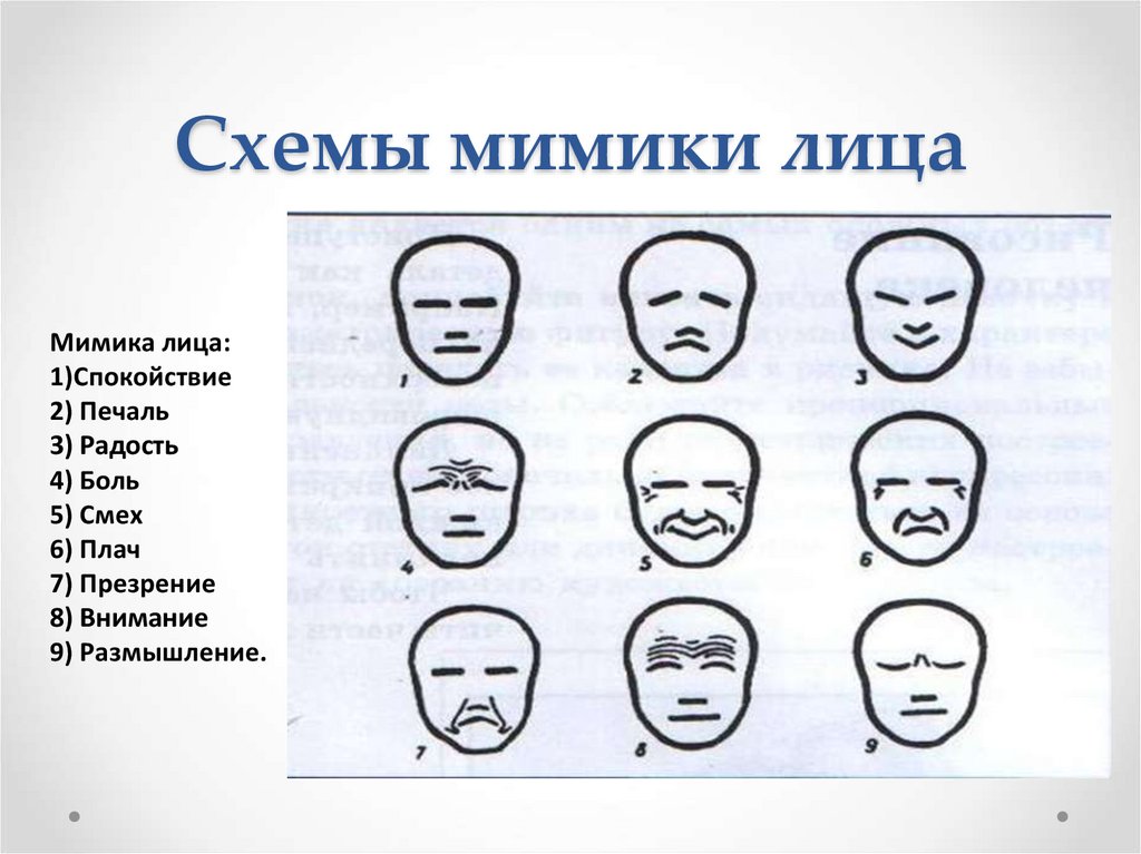 Схемы мимики лица