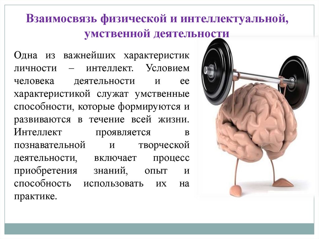 Развития способностей мозга. Физическая и умственная деятельность человека. Взаимосвязь физической и умственной деятельности человека. Умственная и физическая нагрузка. Физические и умственные упражнения.