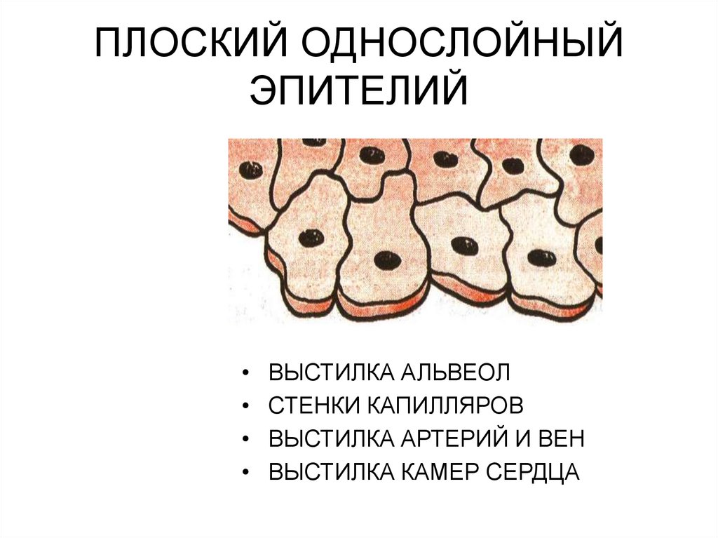 Изменения плоского эпителия