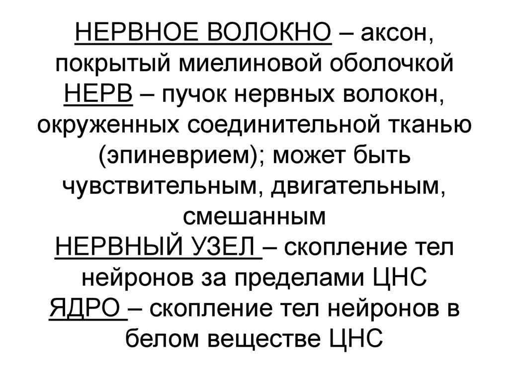НЕРВНОЕ ВОЛОКНО – аксон, покрытый миелиновой оболочкой НЕРВ – пучок нервных волокон, окруженных соединительной тканью