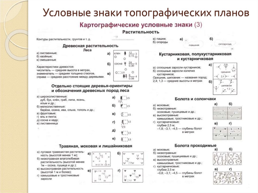 Условные знаки для топографических планов