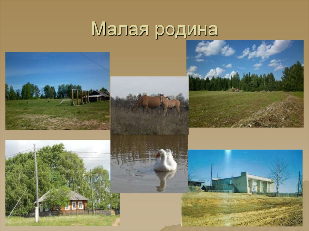 Малая родина