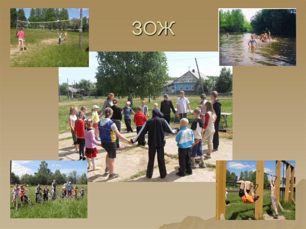 ЗОЖ