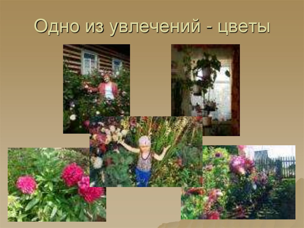 Одно из увлечений - цветы