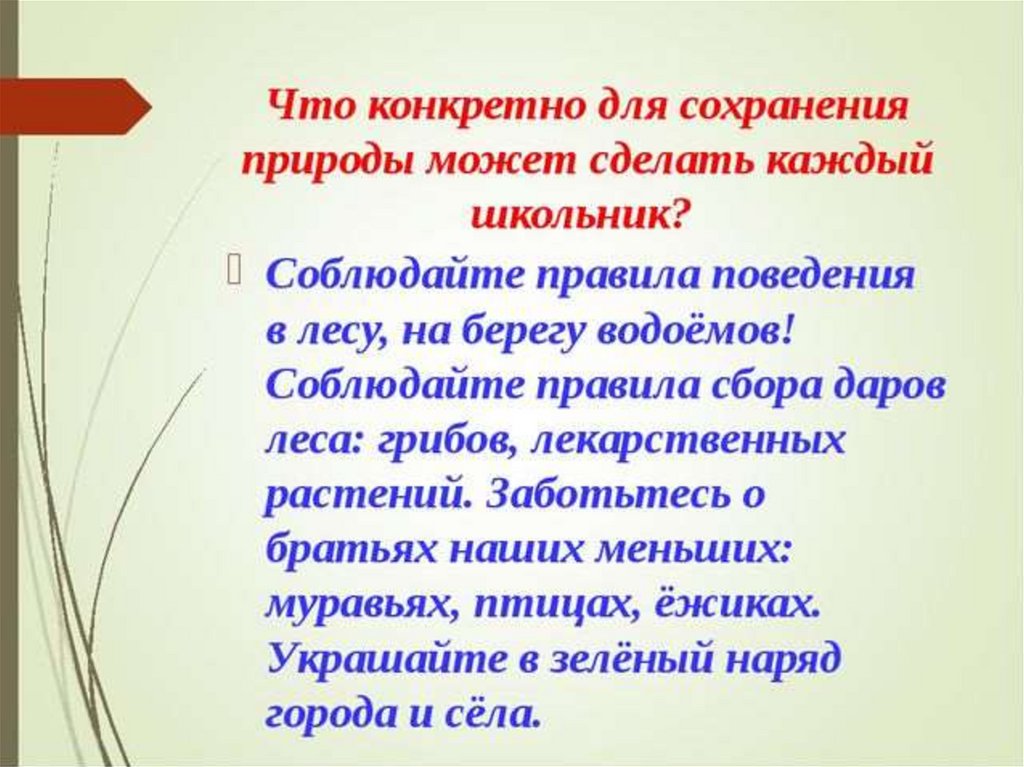 Для сохранения ответов. Сохранение природы. Что нужно делать для сохранения природы. Что может сделать для сохранения природы. Что делают люди для сохранения природы.