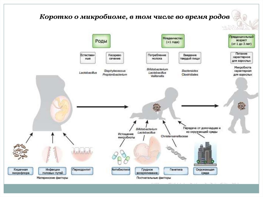 Профилактика рдс плода дексаметазоном схема