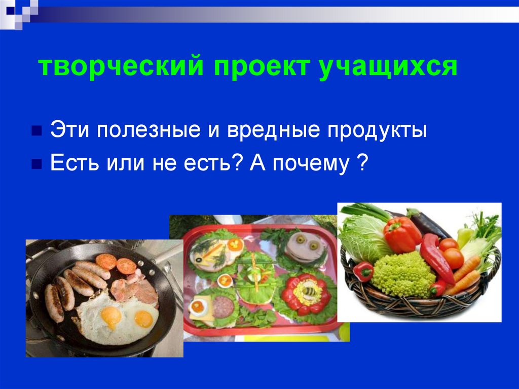 творческий проект учащихся