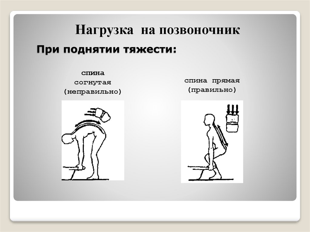 Коррекция осанки и телосложения презентация