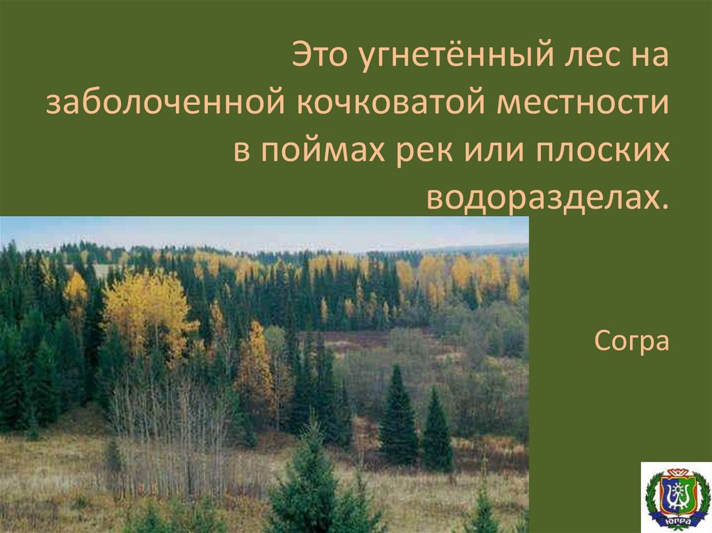 Что значит угнетение. Угнетенный лес. Угнетённый. Согра лес. Гнетет это.