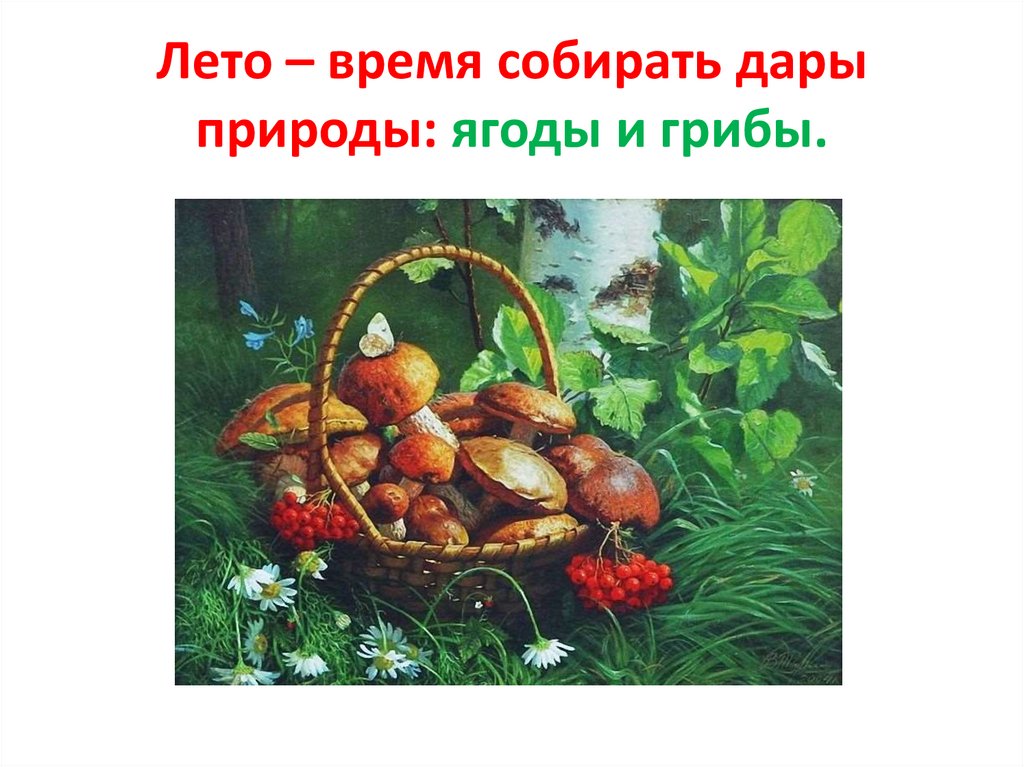 Лето – время собирать дары природы: ягоды и грибы.
