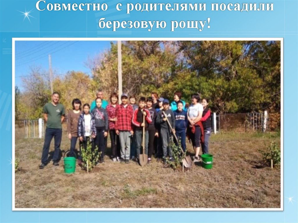 Совместно с родителями посадили березовую рощу!
