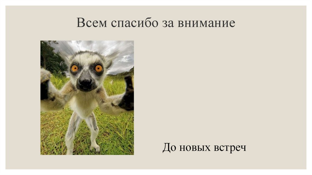 Всем спасибо за внимание