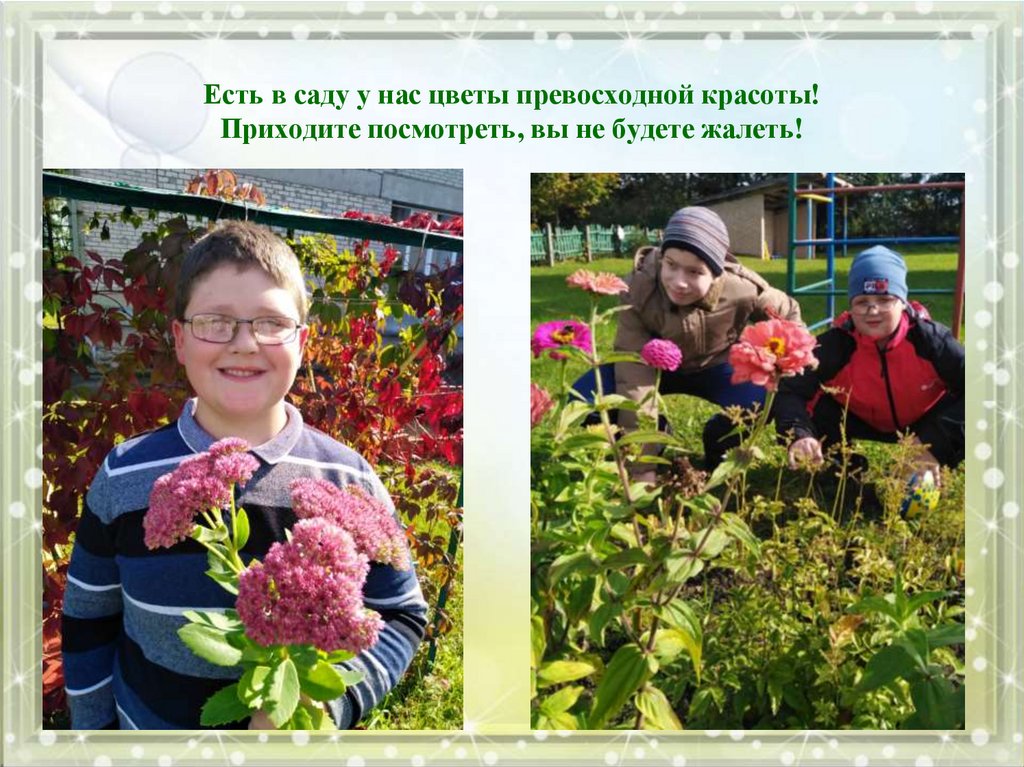 Есть в саду у нас цветы превосходной красоты! Приходите посмотреть, вы не будете жалеть!