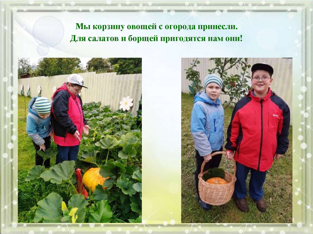 Мы корзину овощей с огорода принесли. Для салатов и борщей пригодятся нам они!