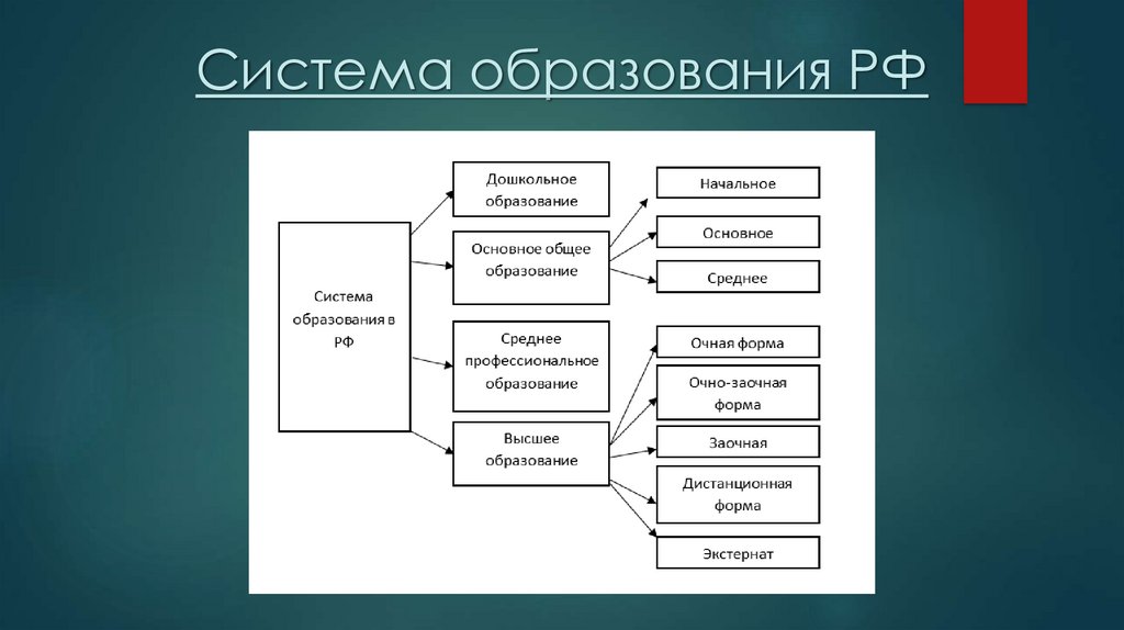 Система образования РФ