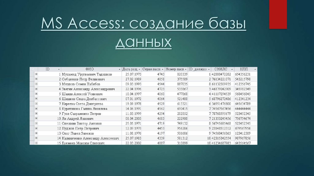 MS Access: создание базы данных