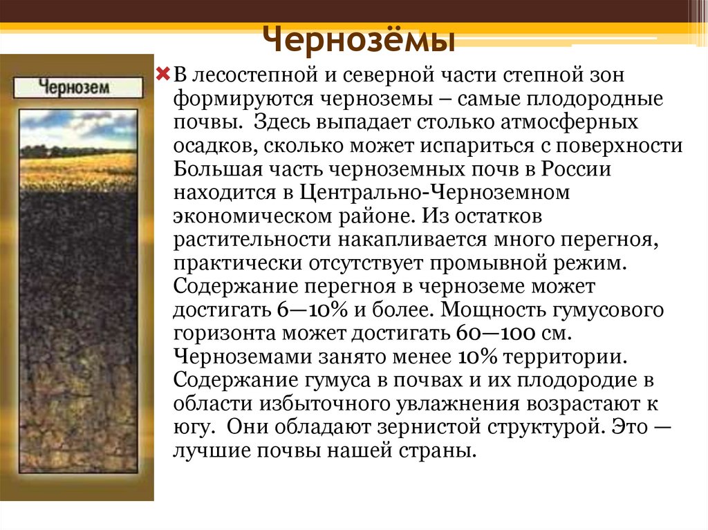 Типы плодородия почв. Самые плодородные почвы. Самые плодородные почвы России. Какие почвы России наиболее плодородны. Наиболее плодородными почвами являются чернозем