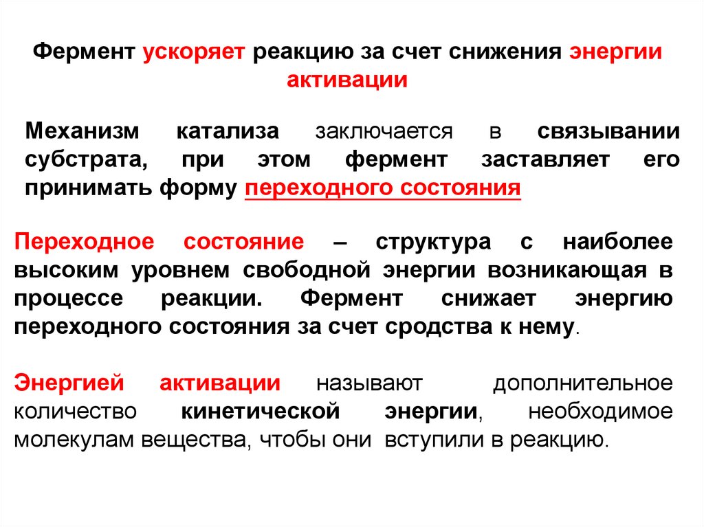 Комплексное действие это. Строение амилазы глобулярный. Структура ферментов. Ключевой фермент или структура трансляции.