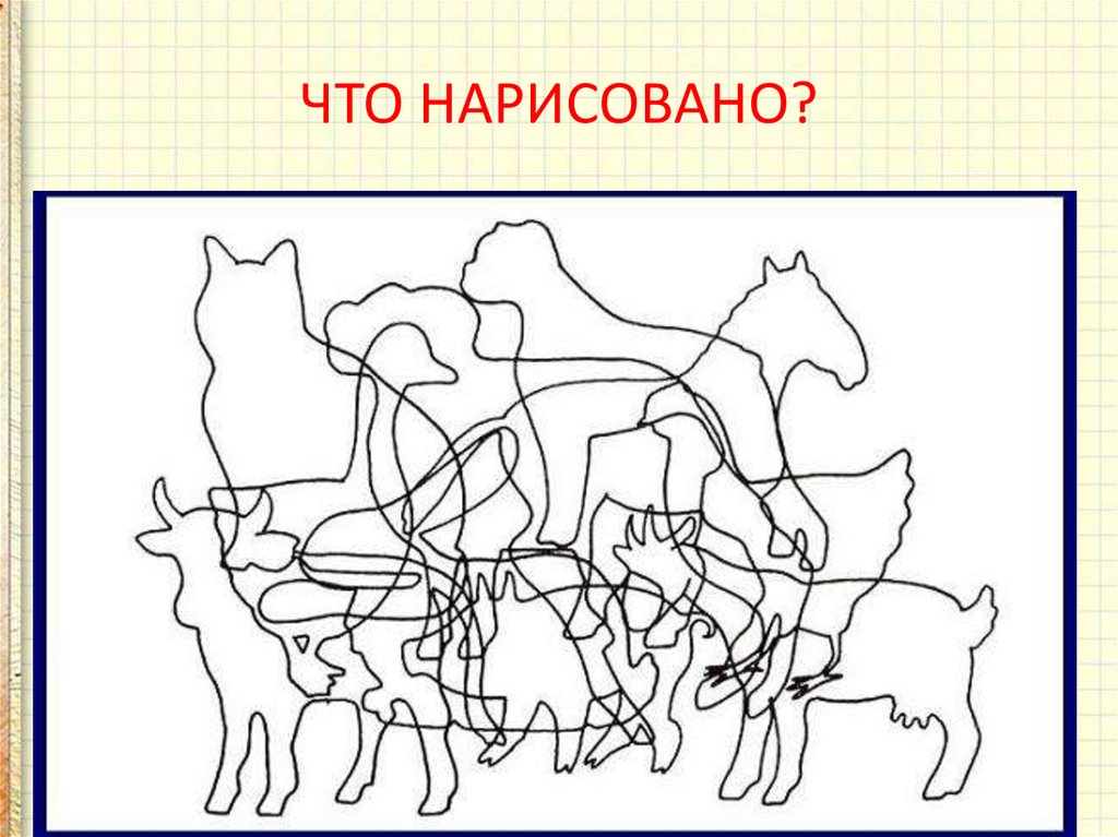 На картинке представлен. Сколько животный на картинке. Сколько животных на картинке. Наложенные контуры. Контурные наложенные изображения.