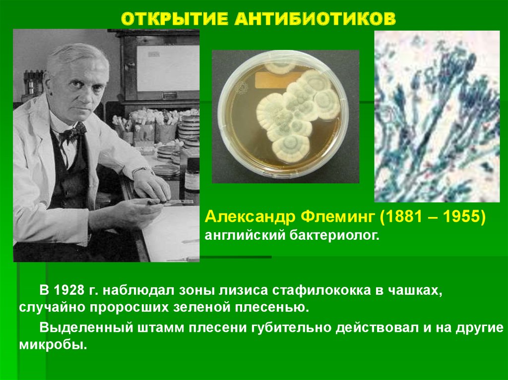 Кто первый открыл пенициллин