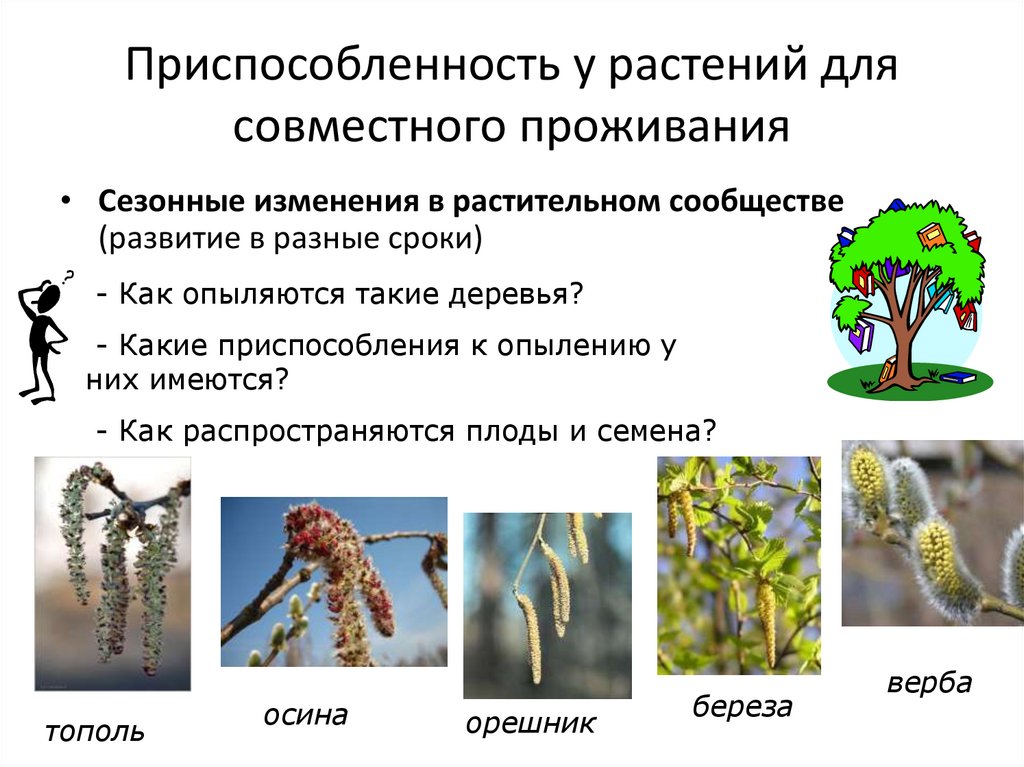 Растительные сообщества 7 класс биология вопросы