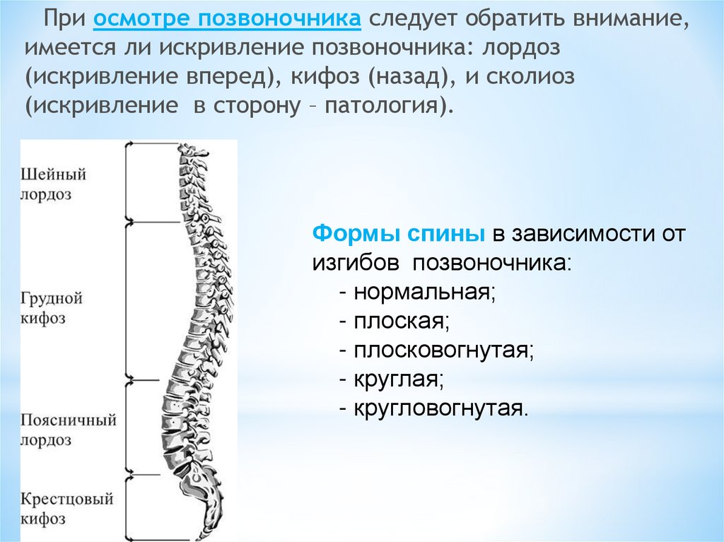 Костно мышечная система у детей презентация