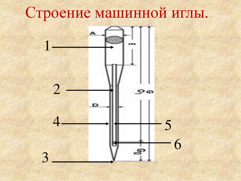 Перед вами схема машинной иглы