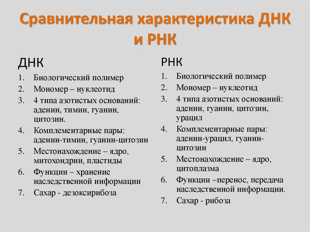 Встречается днк и рнк в. ДНК И РНК. Сравнительная характеристика ДНК И РНК схема. Схема строения ДНК И РНК. ДНК И РНК различия.