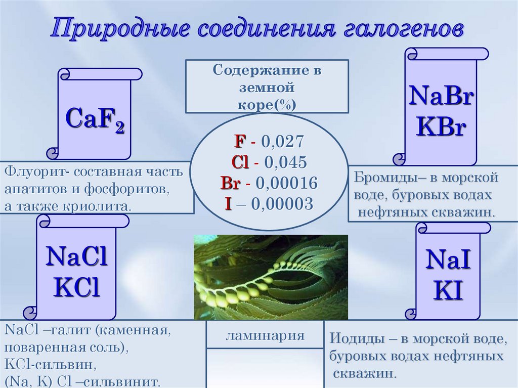 Нахождение галогенов в природе