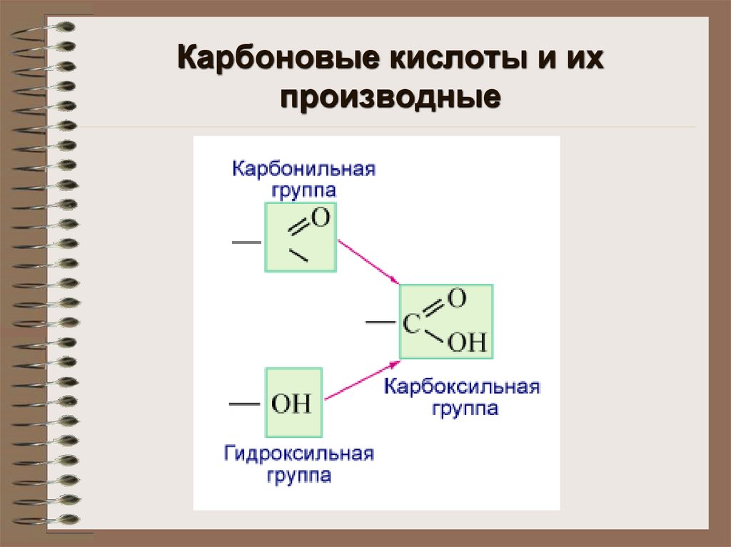 Карбоновые кислоты и их производные презентация